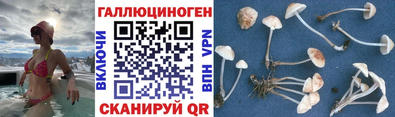 Псилоцибиновые грибы Magic Shrooms  ОМГ ОМГ ссылка  Туапсе 